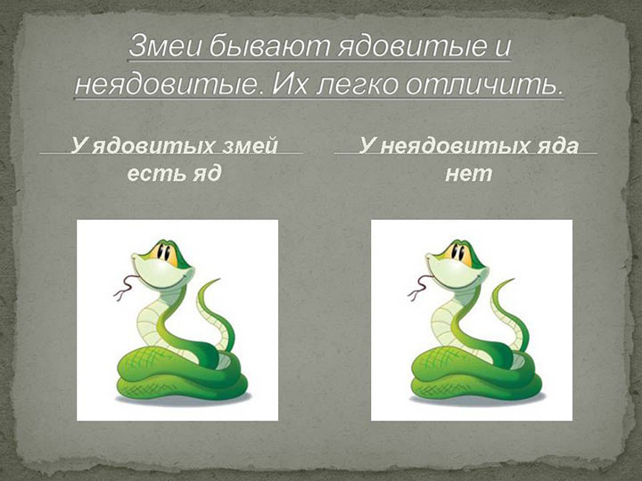 Неядовитые змеи россии | lemur59.ru