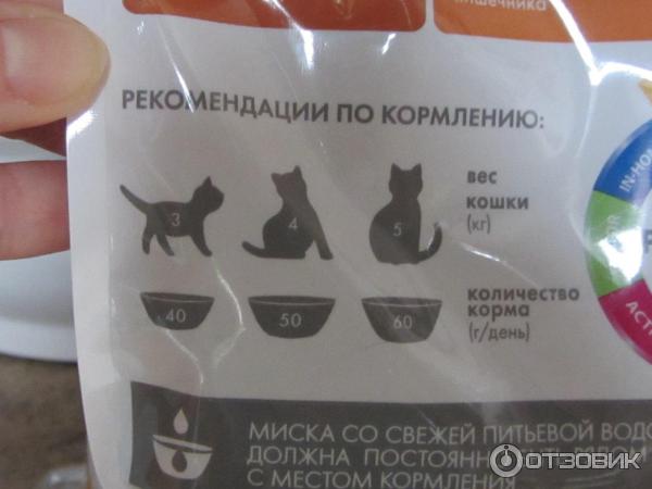 Влажный корм для кошек: рейтинг лучших по мнению ветеринаров