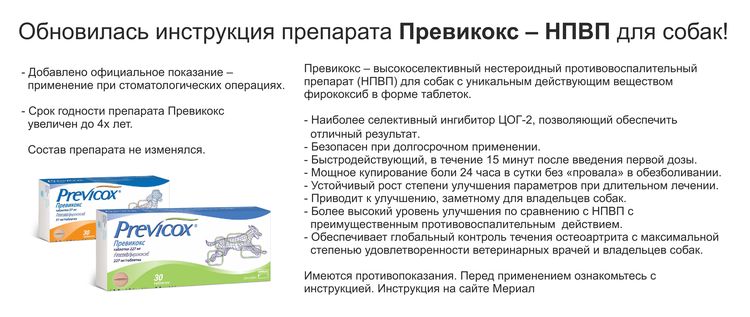 Обезболивающие таблетки для собак от суставов название и фото