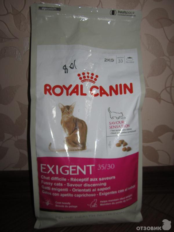 Royal canin renal для кошек – как правильно применять лечебный корм?