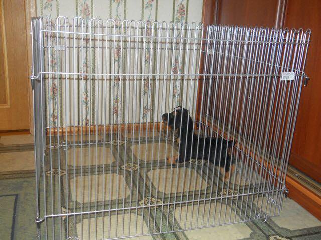 Вольер для собаки в квартире: как создать безопасный комфорт для домашнего питомца