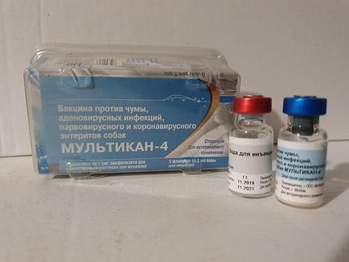 Инструкция по применению вакцины для кошек «поливак-тм», показания и противопоказания