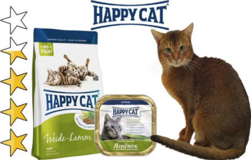 ᐉ обзор корма для кошек happy cat - ➡ motildazoo.ru