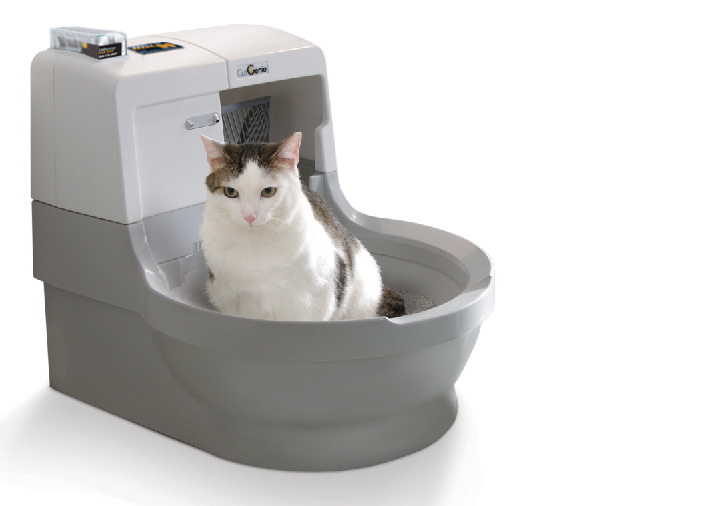 Рейтинг лучших туалетов (лотков) для кошек на 2021 год