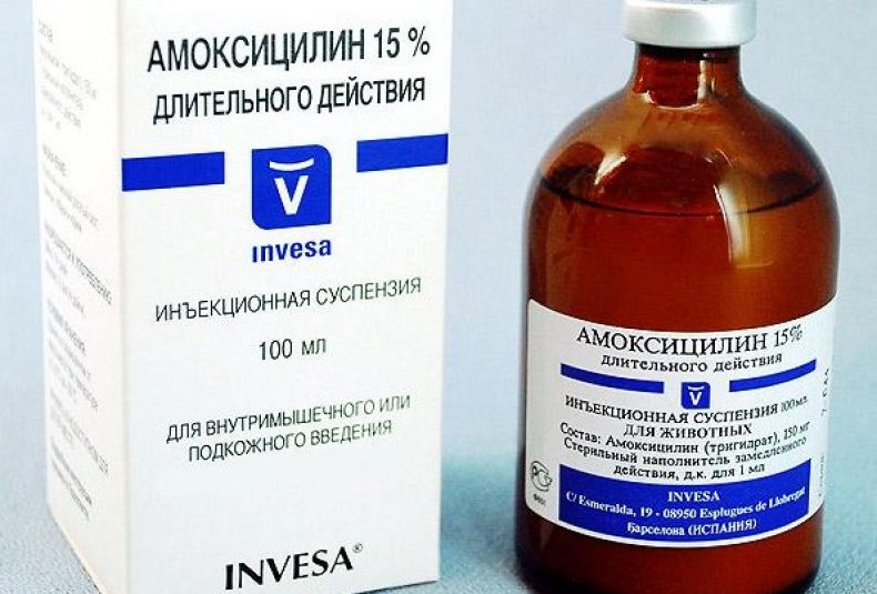 Амоксициллин 150: купить ветеринарные препараты с доставкой по россии и странам снг в компании nita-farm