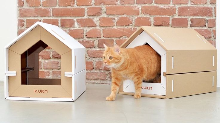 30 бесподобных домиков для кошек, которые можно сделать самостоятельно