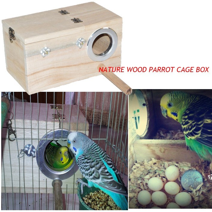 Домик для волнистых попугаев: правильные размеры и как сделать