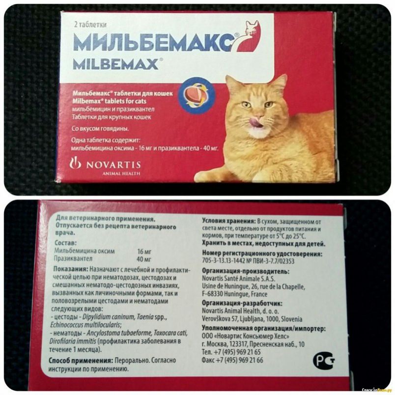 Мильбемакс для кошек - инструкция таблеток от глистов, состав и дозировка, аналоги milbemax и отзывы