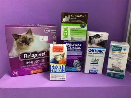 Успокоительное для кошек – обзор препаратов