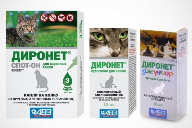 Гестренол – капли и таблетки для кошек и котов