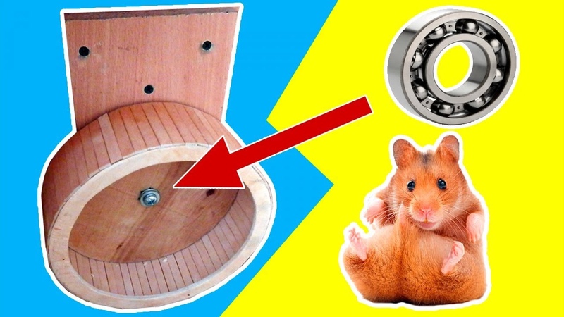 ᐉ беговое колесо для хомяка: как сделать своими руками - kcc-zoo.ru