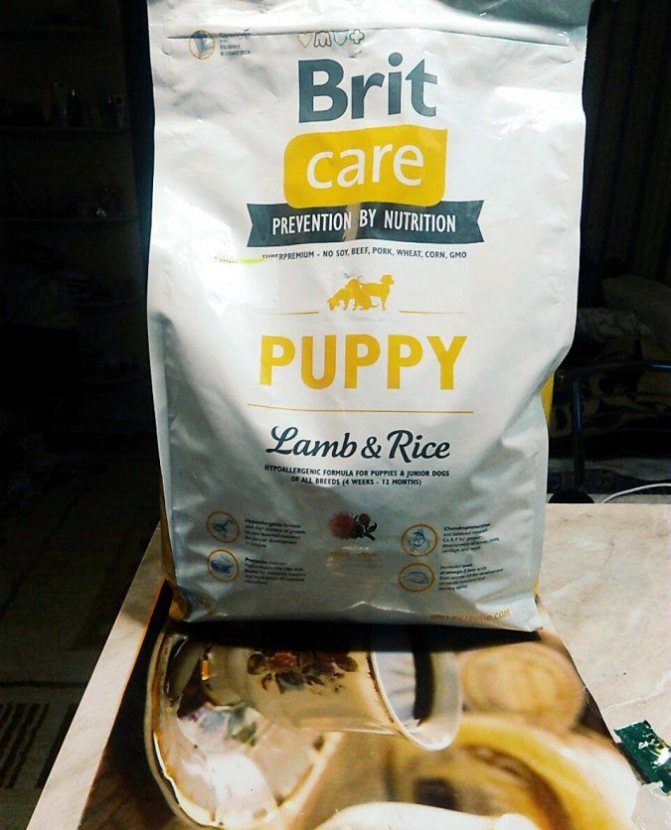 Brit (брит) — производитель сухих и консервированных кормов для собак и кошек