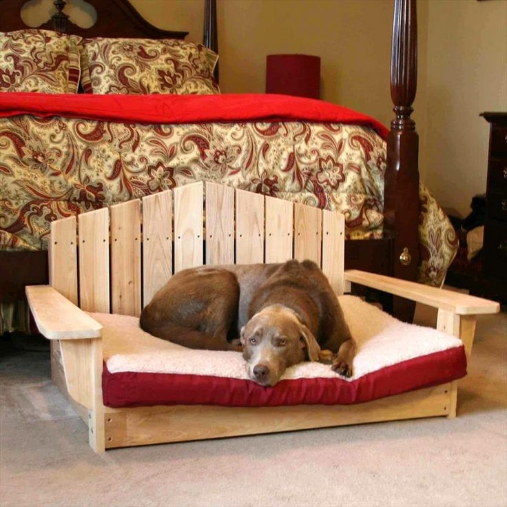 Как отучить собаку грызть мебель – 8 простых и верных способов