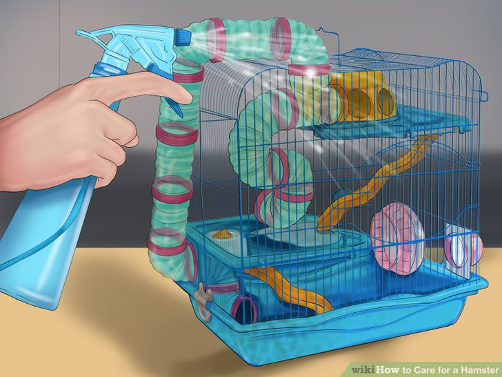 Часто ли нужно чистить клетку хомяка и как это правильно делать?