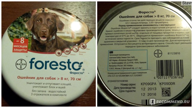 Foresto для собак — полный обзор ошейника от блох и клещей