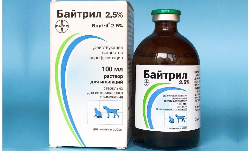 Байтрил (энрофлоксацин) для собак: использование, дозировка, побочные эффекты