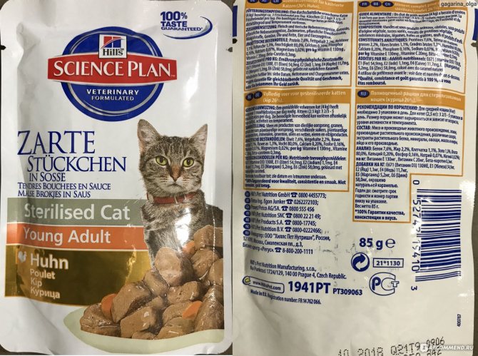 Кормить ли кошку сухим кормом или домашняя еда полезнее для здоровья? чем вредны сухие корма?