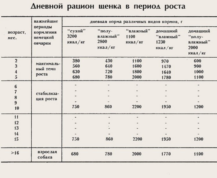 Можно ли кормить месячного щенка манной кашей