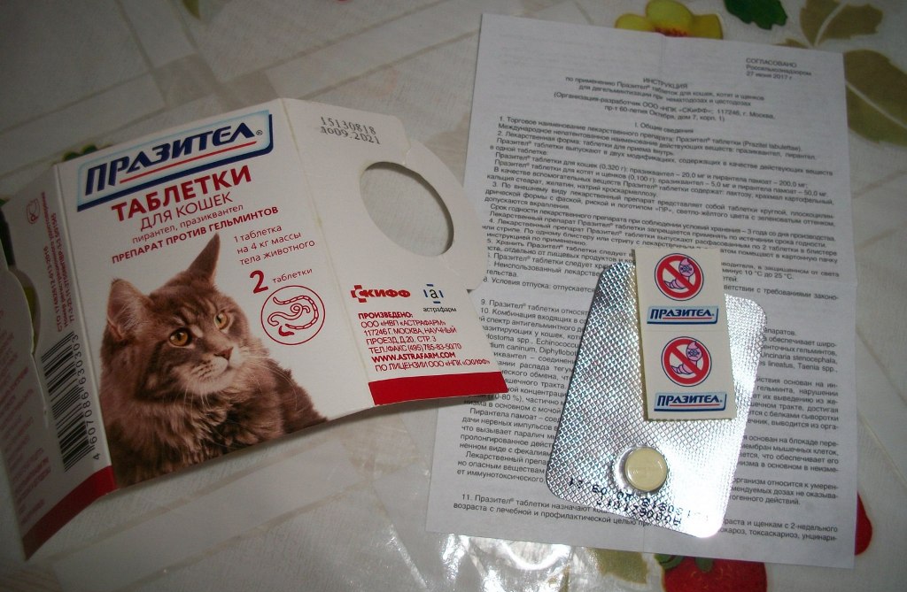 «празител» суспензия для кошек и котят: инструкция по применению