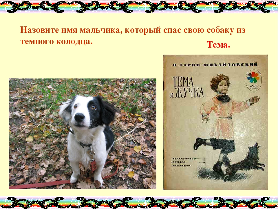 Как назвать собаку. Кличка для щенка мальчика. Как назвать собаку мальчика. Как назвать щенка мальчика. Как назвать собаку мальчика имена.