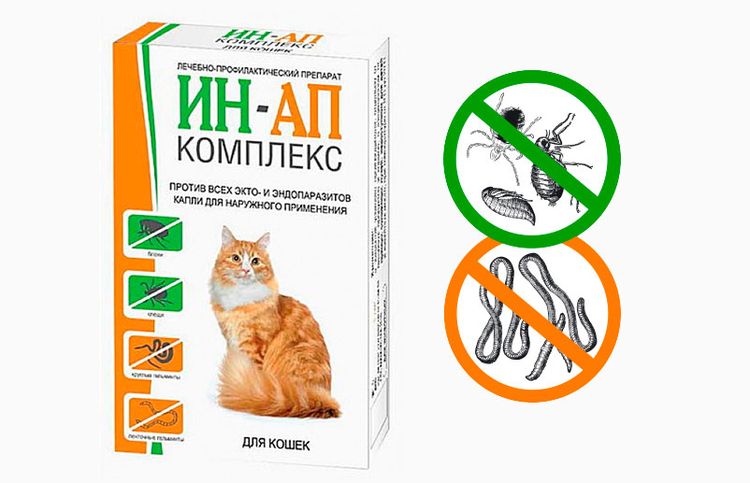 Ин-ап комплекс для кошек: рекомендации по применению.