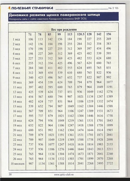 Размеры овчарок (27 фото): таблица веса и роста щенков по месяцам. сколько весит взрослая собака? ее рост в холке