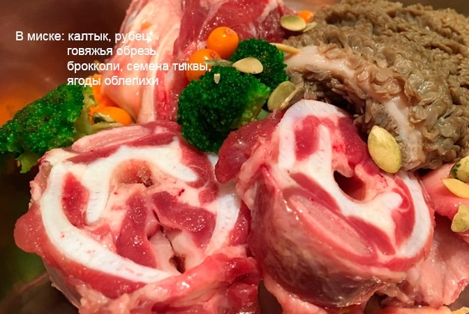 Субпродукты для кормления собак – полезно ли для питомца?