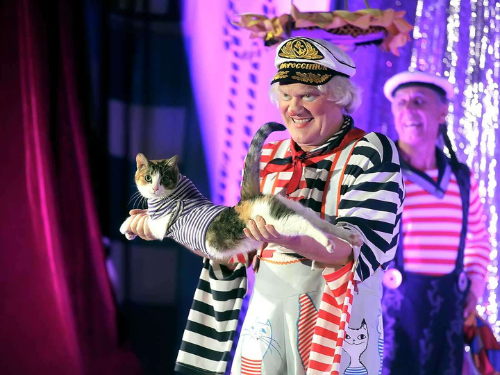 Юрий куклачев и его кошки: видео, отзывы, выступление театра