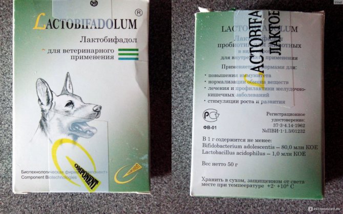 Пробиотик для кошек компонент лактобифадол форте (50 г) - цена, купить онлайн в москве, интернет-магазин зоотоваров - все аптеки
