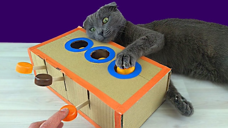 Как сделать игрушку для кота своими руками – фото и видео