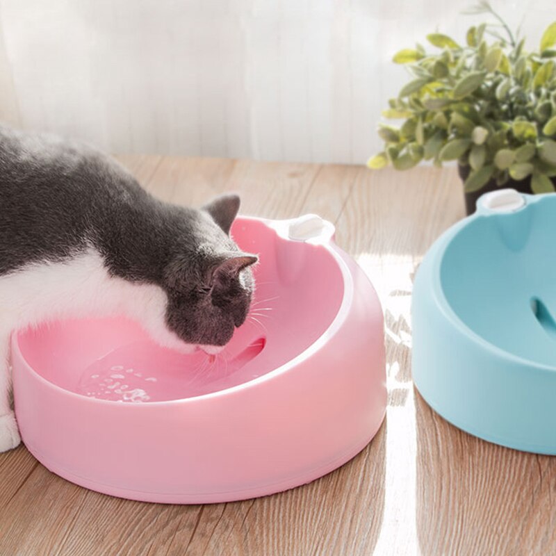 Поилка для кошек: автоматический фонтанчик своими руками. автопоилки для кошек