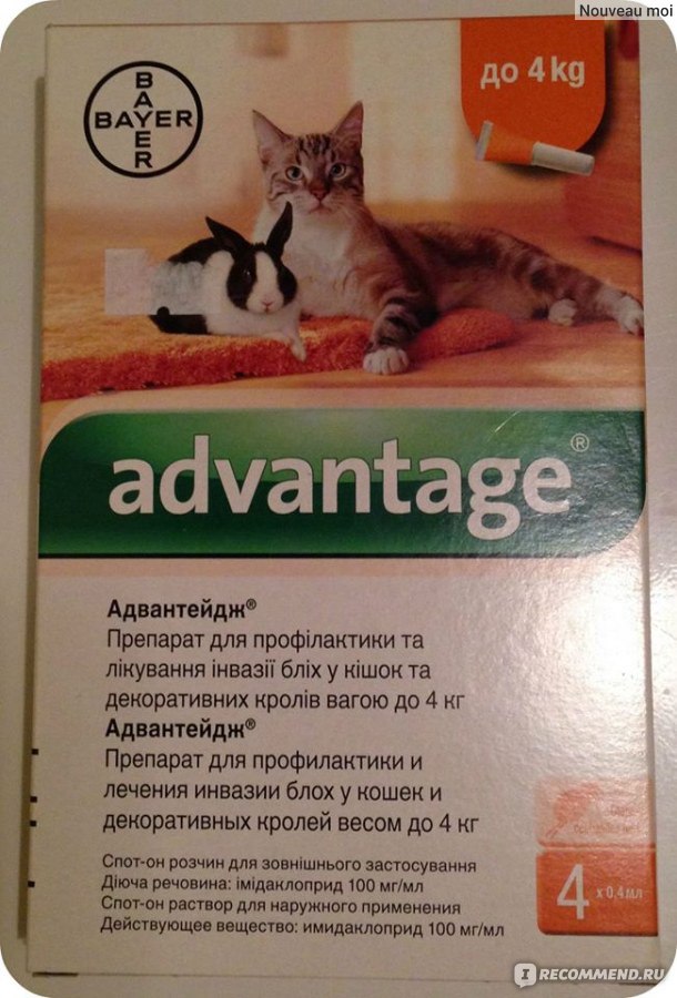Адвантейдж для кошек: состав и форма выпуска, инструкция по применению