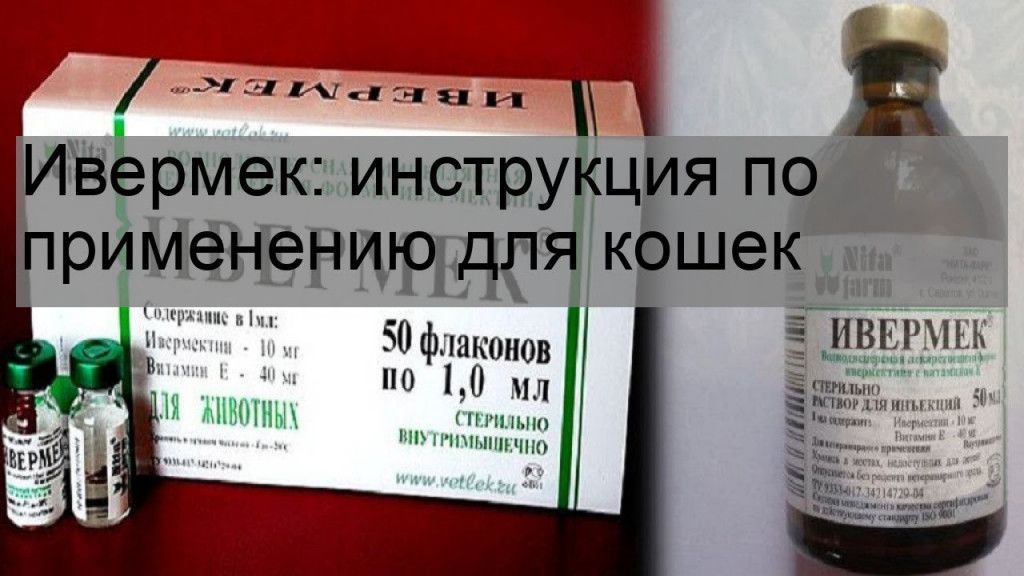 Ивермек or: купить ветеринарные препараты с доставкой по россии и странам снг в компании nita-farm