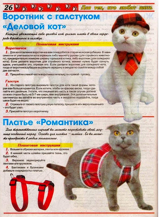 Вязаные ошейники для кошек. как сделать ошейник для кошек своими руками? подробная инструкция