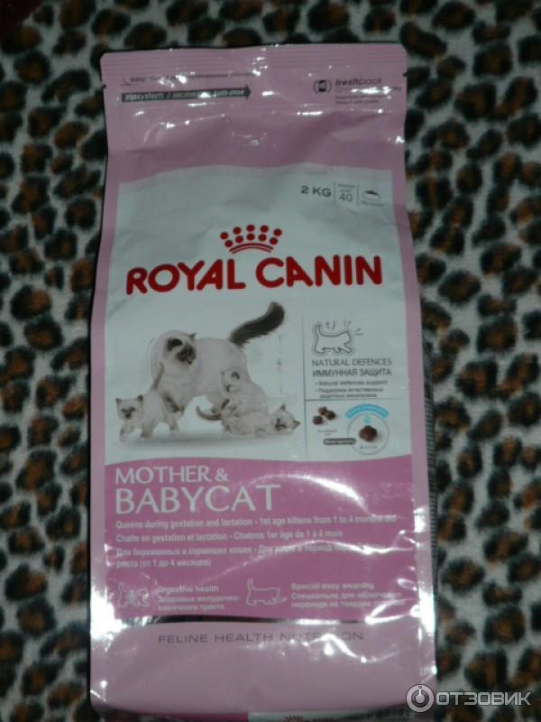 Корм royal canin (роял канин) для кошек: отзывы, цена, состав сухих и влажных кормов