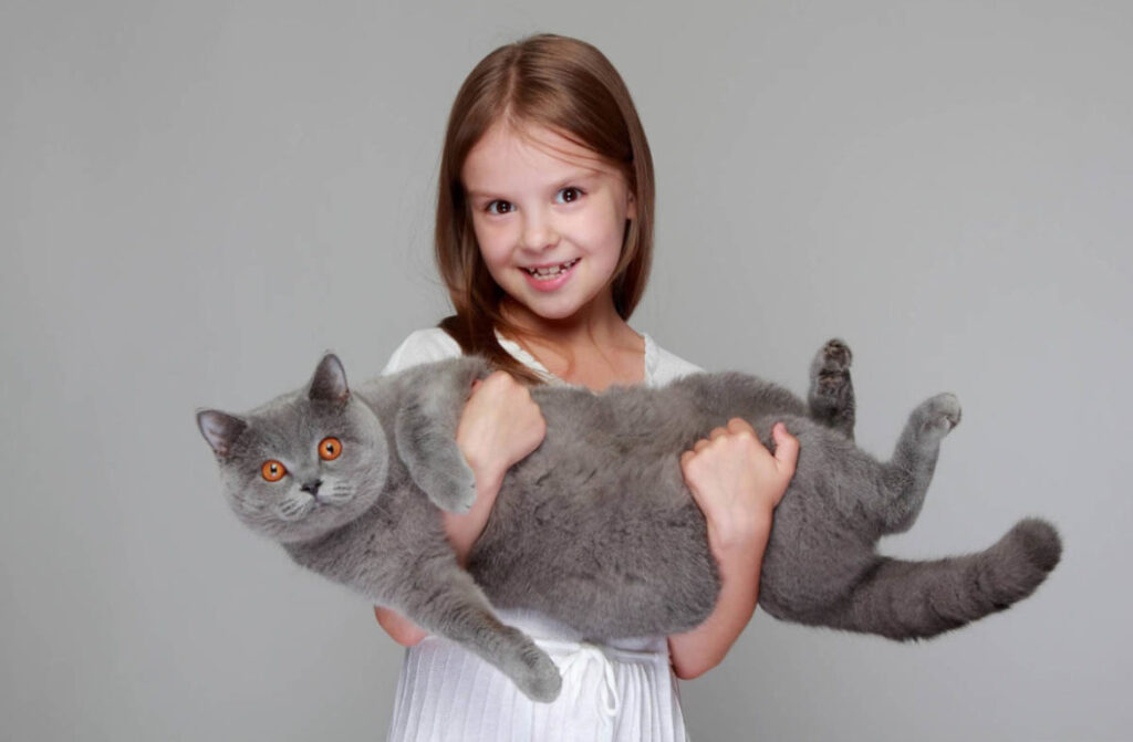 Какие породы кошек лучше всего уживаются в семьях с маленькими детьми