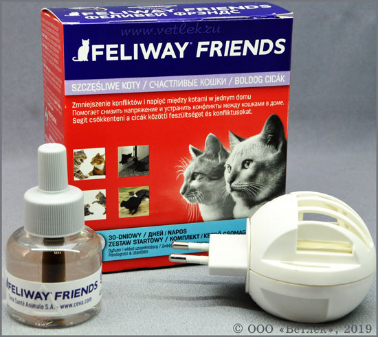 Препарат феливей: помощь в коррекции поведения кошки