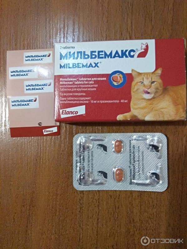 Мильбемакс для кошек: инструкция по применению, как правильно давать, дозировка по весу, возможные побочные эффекты