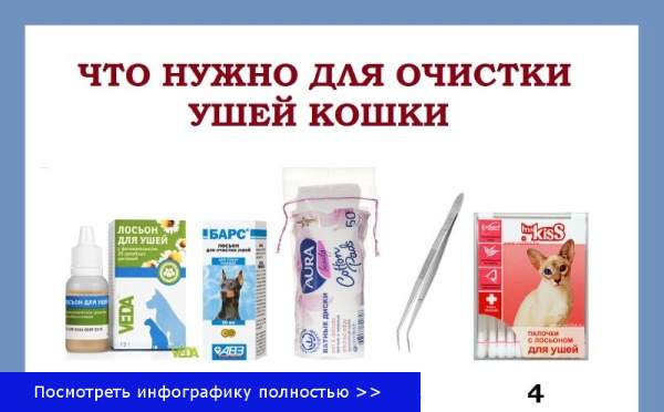 Как почистить уши коту или кошке в домашних условиях, чем чистить их взрослому животному или котенку в профилактических и лечебных целях