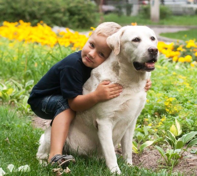 Обзор самых добрых и дружелюбных пород собак в мире, которые подойдут детям