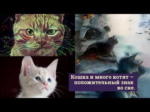 Сонник. кошки: сонник миллера, другие сонники, к чему снятся коты и толкования сна