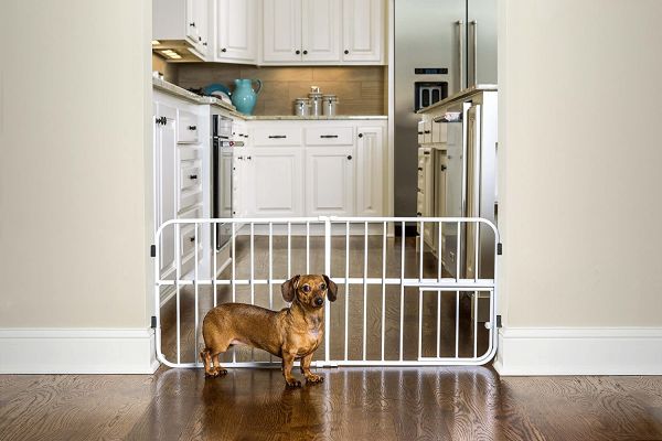 Для чего нужны барьеры для собак: каких видов бывают перегородки для квартиры
