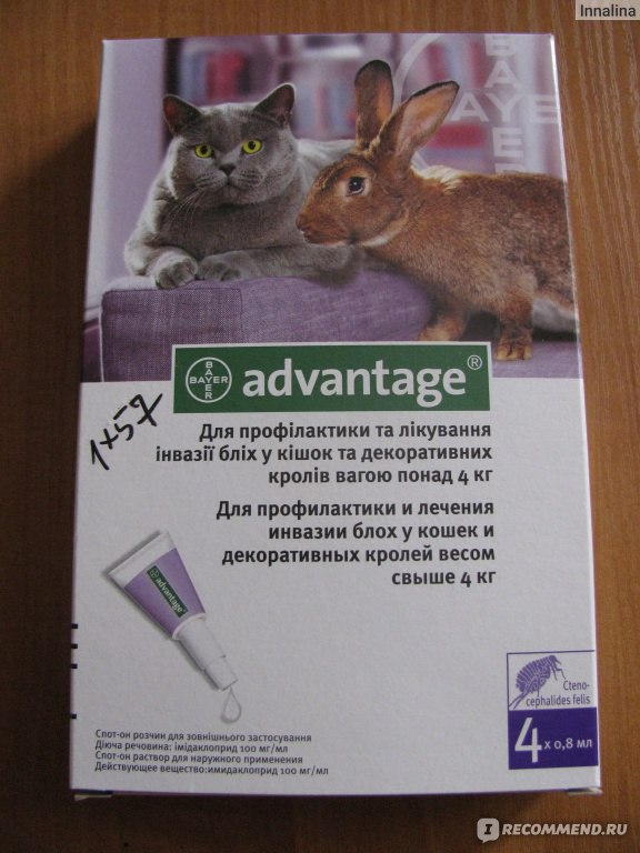 Адвантейдж для кошек — инструкция по применению, назначение препарата и основное действующее вещество (85 фото и видео)