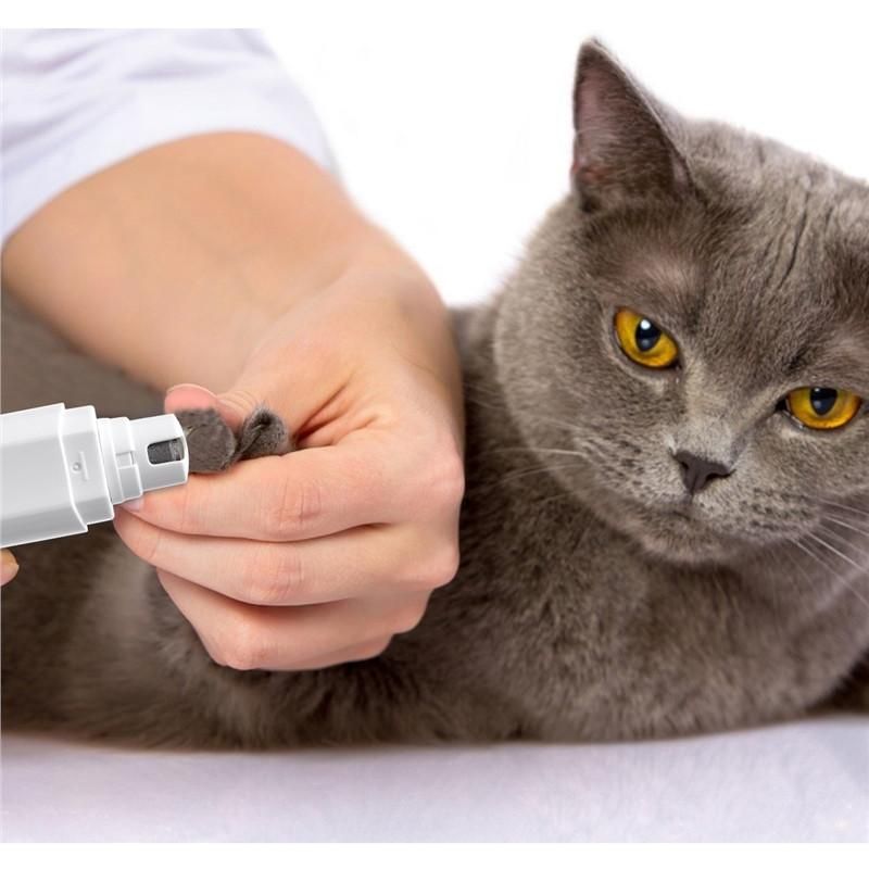 Как подстричь когти кошке: эффективная и безопасная техника