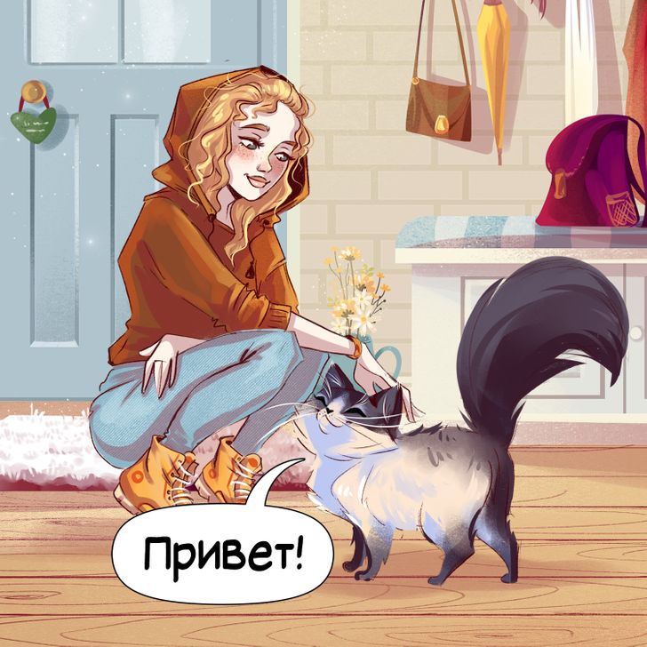 10 звуков кошек — и что они означают?
