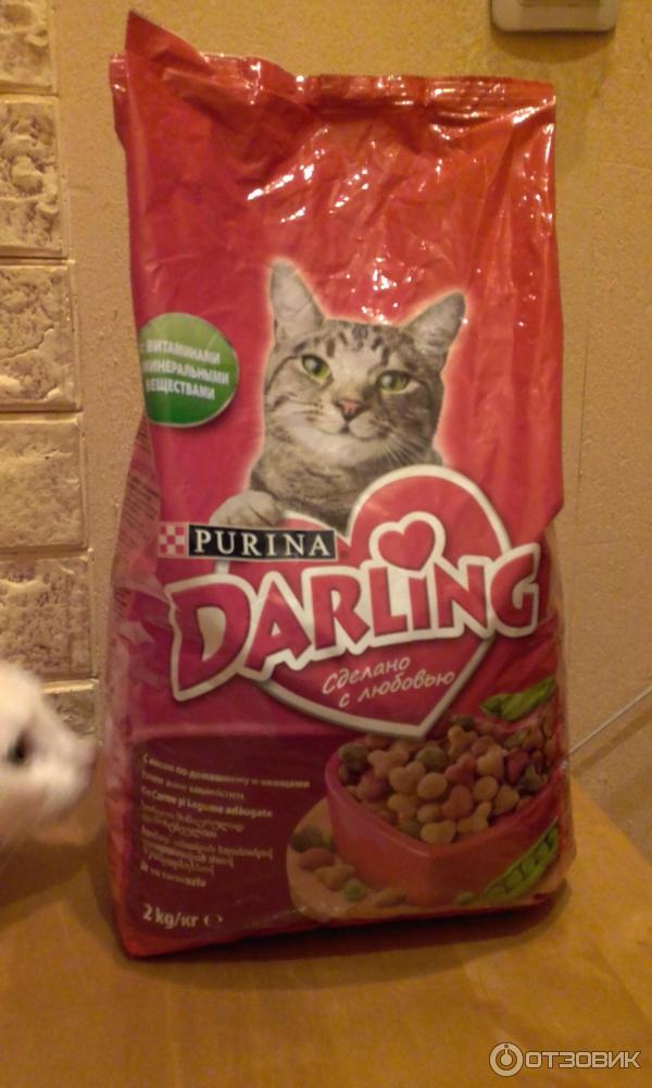 Darling (дарлинг): обзор корма для кошек, состав, отзывы