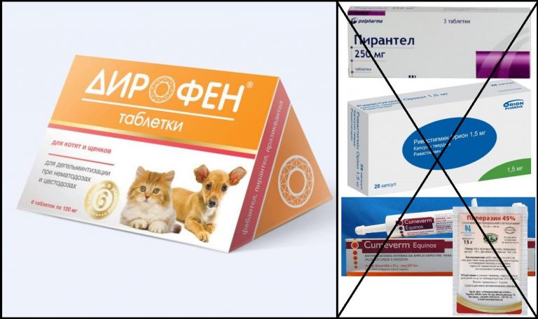 Дирофен для кошек - инструкция по применению препарата от глистов - kotiko.ru