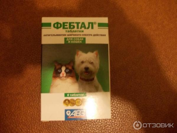 Фебтал для собак: инструкция по применению, описание препарата