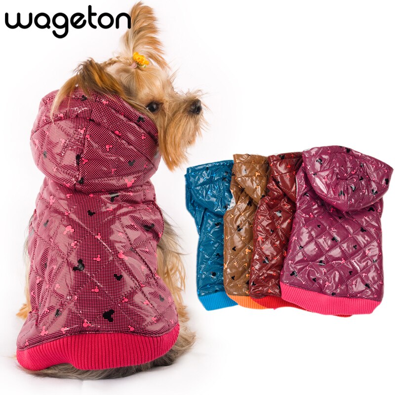 Модный пёс: 9 марок одежды и амуниции для собак — wonderzine