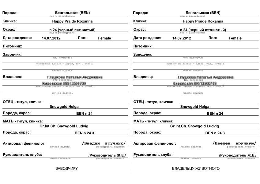 Договор на вязку кота образец